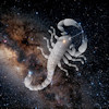 Scorpius